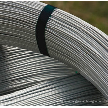 Oval Galvanized Steel Wire for Farm Fencing